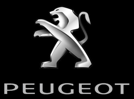 La couleur du logo Peugeot